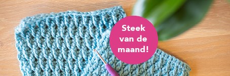 Alpine steek haken - Steek van de maand