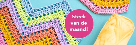 Zigzag haken - Steek van de maand