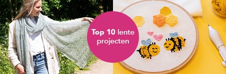 Top 10 projecten voor de lente