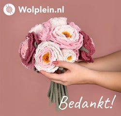 Wolplein.be Digitale Cadeaukaart Bedankt