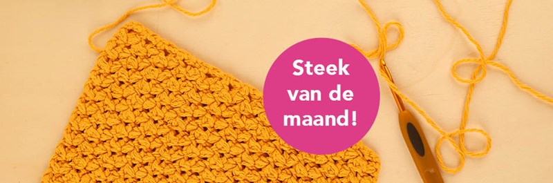 Steek van de Maand: Elisabeth Steek haken