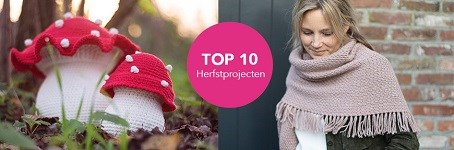 10x inspiratie voor het creëren van de vrolijkste herfst handwerkprojecten